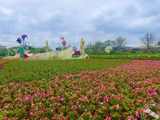 2024溪海花卉農遊趣 春季展將展開 17萬株花卉、7大裝置成就美拍場景