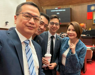 綠委甲級動員「睡著翻身」？7人書面質詢挨轟：綠色巨嬰