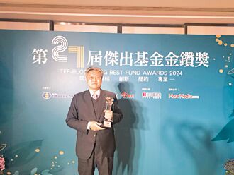 台新中國通基金 獲獎常勝軍