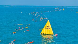 資訊不全、報名秒殺 泳渡澎湖灣被罵翻