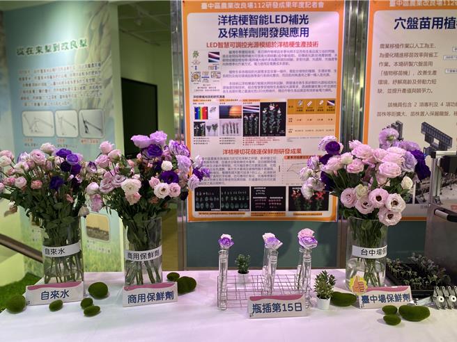 台中区农业改良场22日发表研究成果，该场与工研院研发多年后，开发出洋桔梗智能 LED 补光及保鲜剂等新技术。（孙英哲摄）
