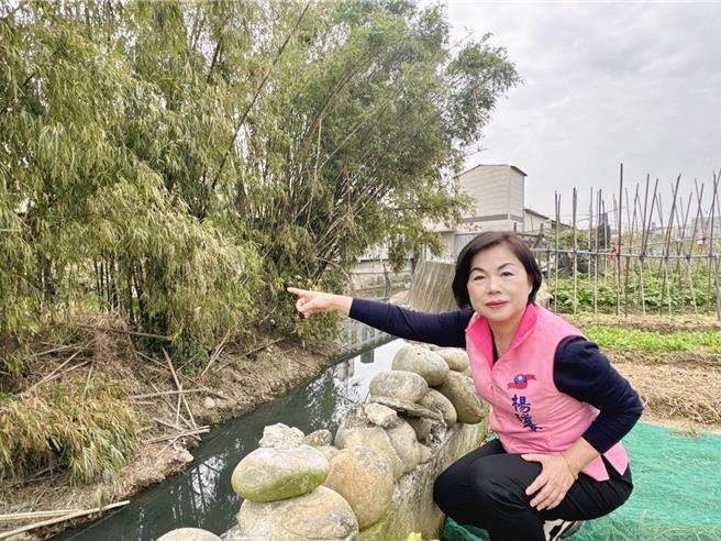 台中大雅區員林里、雅楓里塔連溝中下游部分區段僅為土堤護岸，立委楊瓊瓔22日現勘。（陳淑娥攝）