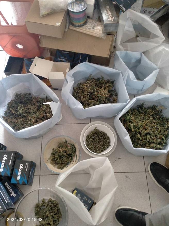 警方经埋伏多日见时机成熟，前天下午在屏东县崁顶乡查缉邓男到案，当场查获大麻成品2879公克、大麻活株232株。（警方提供／林雅惠高雄传真）