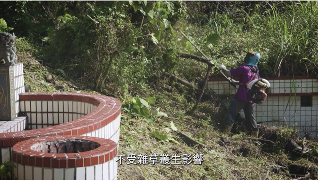 為維護民眾墓區行走安全，新北市府已完成除草清理作業。(圖/中時新聞網)