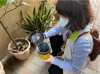 台南登革熱誘卵桶指數升 「這區」陽性率最高