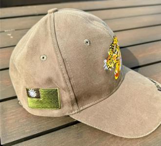 軍帽變成黑天綠國旗  蔡正元驚訝：不吉利