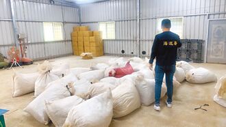 私菸厂藏牧草仓库 海巡查扣38万包劣品