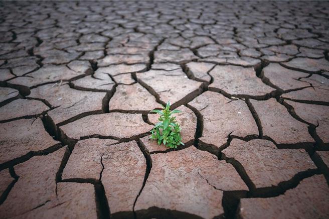 今年以來，大陸雲南、四川兩省降雨、來水持續偏少，局地蓄水不足，兩省發生不同程度旱情。（示意圖／美聯社）