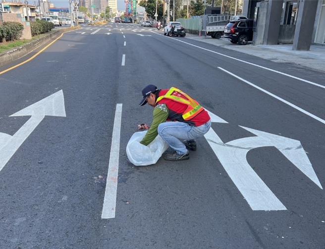 隨著民眾飼養犬貓比例逐年增加，台中市各區清潔隊常接獲通報道路或溝渠動物屍體清理請求，清潔隊成為不幸毛小孩最後1哩路的禮儀師。（台中市政府提供／馮惠宜台中傳真）