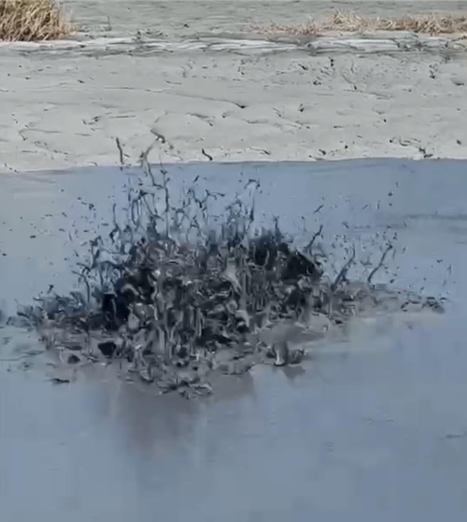 屏東萬丹泥火山23日下午2時許噴發，是今年首度噴發，並距離上次噴發時間剛好4個月，且時間點也差不多。（村長陳玉意提供／謝佳潾屏東傳真）