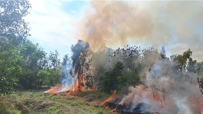 嘉义县消防局23日至下午5点接获公墓火警案件多达23件，让消防员疲于奔命。（取自「东石之美」脸书社团∕ 吕妍庭嘉义传真）