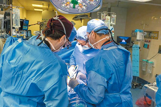 美国麻州综合医院首次成功将基因改造的猪肾移植到活体患者身上，这项手术可能有助解决捐赠器官长期不足的问题，未来能让许多患者摆脱洗肾之苦。（摘自美国麻州综合医院网站）