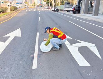台中 清潔隊成犬貓送行者 大甲1年285件