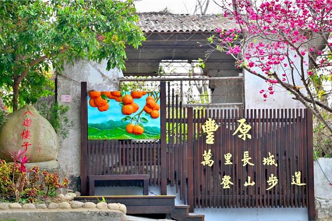 台中市豐原區萬里長城登山步道，經市府投入千萬經費整修，24日宣布啟用，並在沿線種植杜鵑花，未來將成為杜鵑花道，精彩可期。（中市府提供／王煌忠台中傳真）