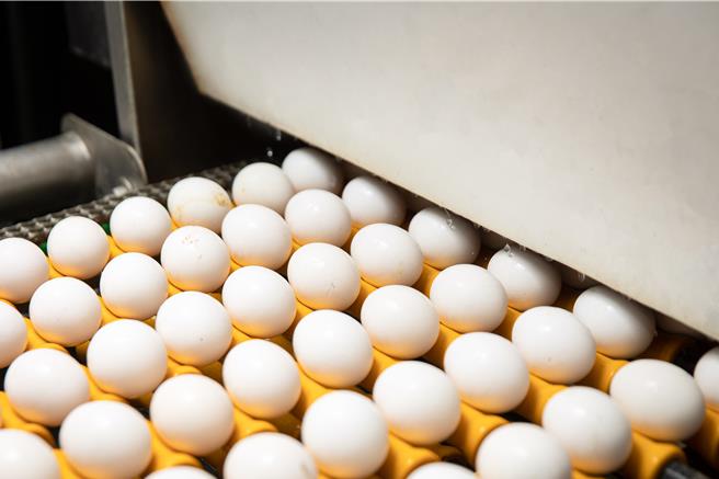 全台蛋价25日齐涨3元，遭质疑是反应即将上涨的电价成本，台南市农业局表示是市场供需机制，与反应成本无关。（读者提供／程炳璋台南传真）
