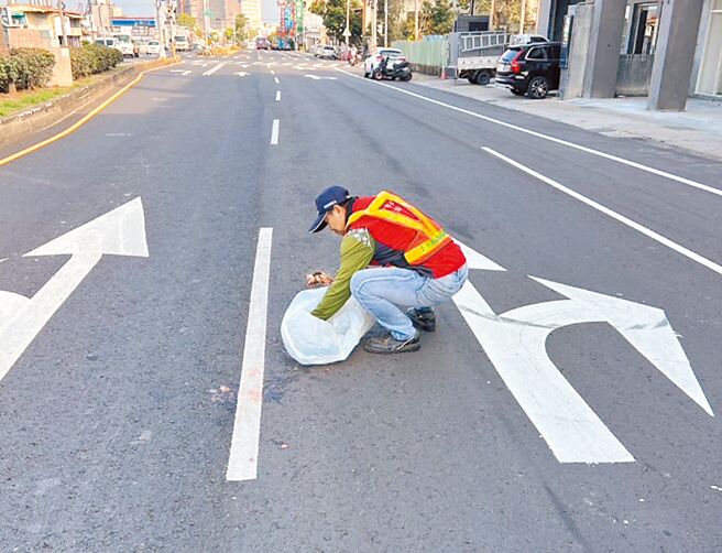 随着民眾饲养犬猫比例逐年增加，台中市各区清洁队常接获通报道路或沟渠动物尸体清理请求，清洁队成为不幸毛小孩最后1哩路的礼仪师。（台中市政府提供／冯惠宜台中传真）