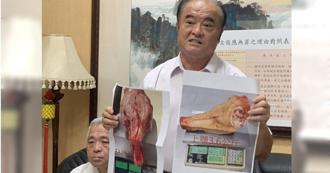 選舉送豬頭加傷殘豬隻 穩坐玉里鎮長寶位恐有變數