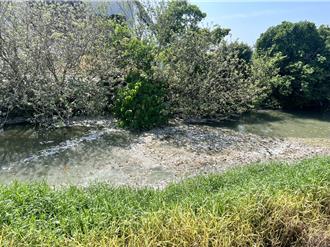 彰化三月雪竟是臭雞毛 居民飽受困擾檢舉了