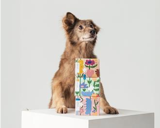 此生必吃曲奇名店COOKIE886首賣「小花隨手盒」  59元加價購為浪孩送暖