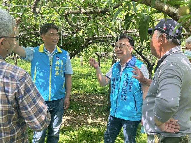 立法院副院長江啟臣服務團隊25日前往新社勘查桃子農損情況。（江啟臣服務處提供）