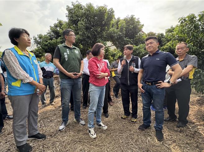 今年2月氣溫太高，台中市龍眼、荔枝開花率低，農民憂收成大減少於3成。立委顏寬恒（前排右）及何欣純（前排左）25日邀集相關單位會勘農損情形，要求農業部盡速公告天然災害救助。（潘虹恩攝）