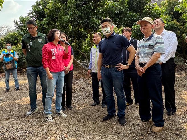 台中市盛產龍眼、荔枝，今年因氣溫過高，開花率不足，農民憂心收成大減。立委何欣純（前排左）、顏寬恒（前排中）25日邀集農業部農糧署、農業部台中區農改場與中市農業局等單位前往霧峰桐林1處果園會勘，除爭取農業部盡速公告天災救助，也希望爭取補助金額調高。（潘虹恩攝）