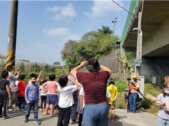 創4年來數量最多！ 林內鄉紫斑蝶高峰預估在清明節