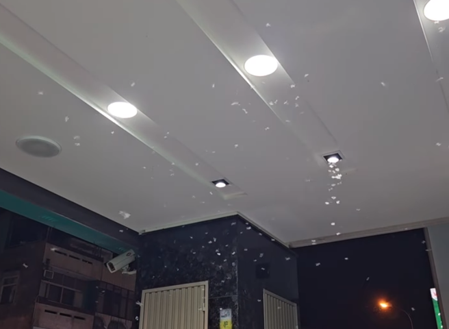 大水蚁出现，代表雷雨季接近了。(翻摄自郑明典脸书)