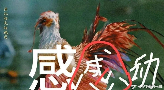 网友指出赵丽颖的感少了一撇。（图／微博）