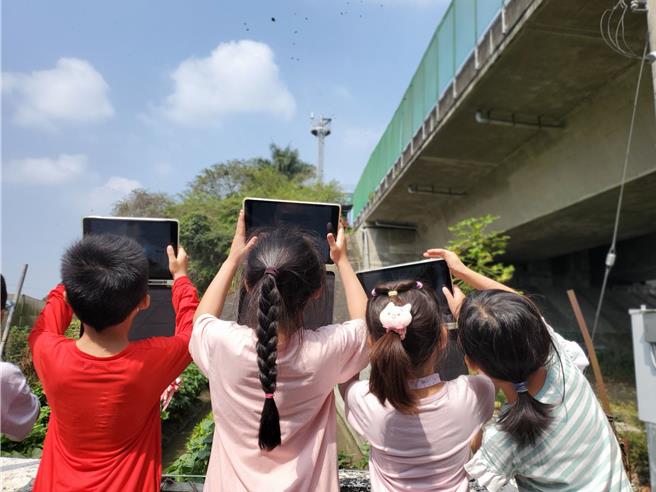 林內鄉成功國小全校師生今（26日）到國道三號林內段涵洞的紫斑蝶觀測站觀察蝴蝶飛越高速公路情形。（周麗蘭攝）