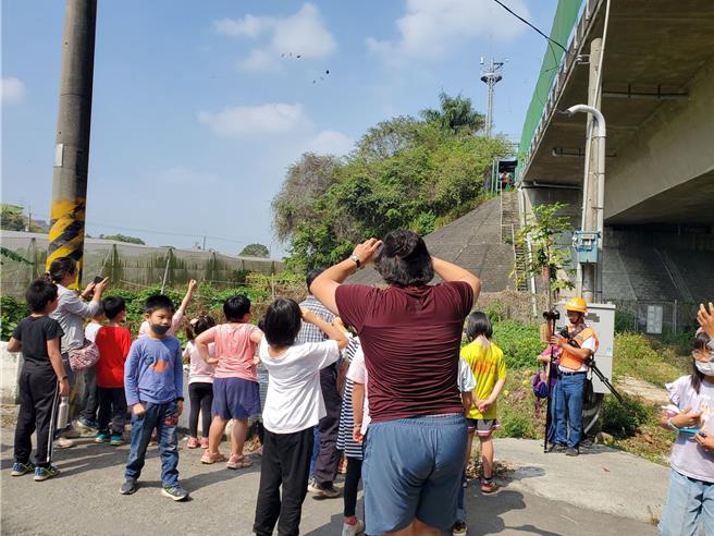 紫斑蝶今年爆出每分鐘1080隻遷徙美景，林內鄉成功國小學童今（24日）到國道3號高速公路下觀察紫斑蝶如何飛越國道。（周麗蘭攝）