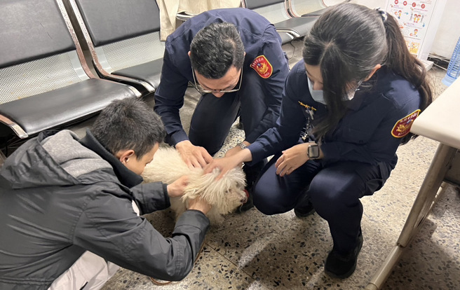 南榮路派出所警員洪碧均、邱柏文善用網路力量，幫忙貴賓狗找到飼主。（翻攝畫面）