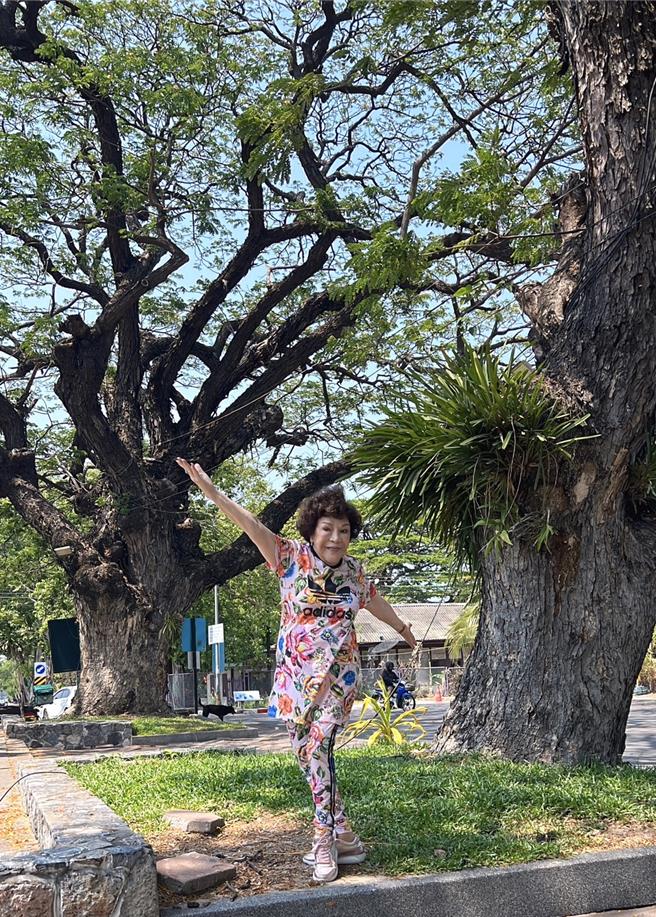 阿姑期許自己和神木一樣茂密壯大。（李朝永提供）