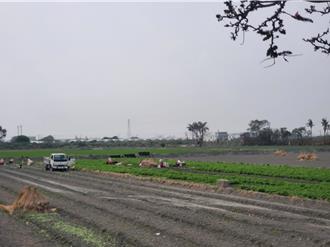 雲林空氣品質全台最糟 環保局：降雨天數少、低風速所致