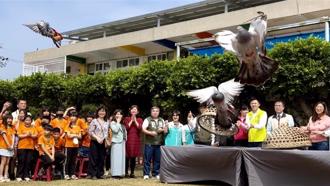 台南鴿笭文化季「起飛」！學童設計桌遊發揚在地民俗