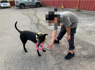 童游荡整晚未归祖母急 靠警犬花花卸心房