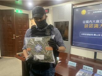 大麻除罪化？法務部毒品審議委員會 4理由強調零容忍