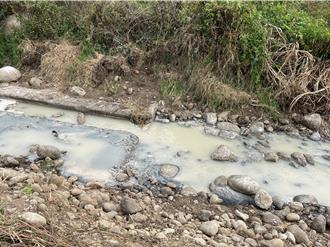 台中頭汴坑溪成魚屍地獄 環保局已清運3公噸死魚