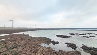 三接诉讼案发回更审 环团：还藻礁公道