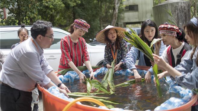 新竹縣政府推出「新竹走走」新路線「尖石走走」，交旅處長陳盈州（左）等人在工坊人員指導，體驗將帶有香氣的月桃葉清淨。（羅浚濱攝）