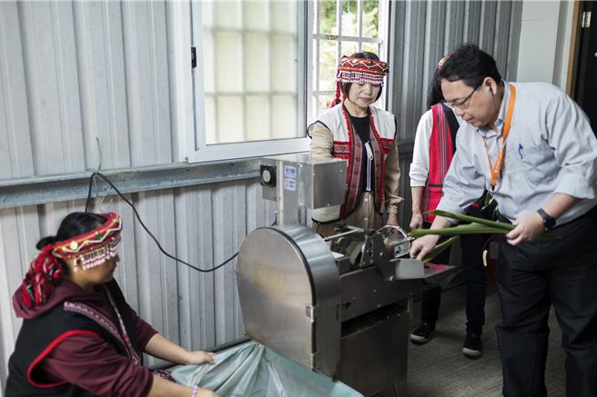 新竹縣政府推出「新竹走走」新路線「尖石走走」，交旅處長陳盈州（右）月桃葉放入機器中，體驗加工萃取月桃精油與純露的步驟。（羅浚濱攝）