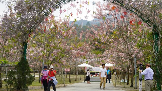 景德公园于活动期间开放树下露营、野餐。（宝智华摄）