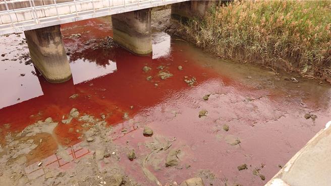 台中市清水大排被民眾發現河水「變色」， 一大片紅色汙水綿延約2公里，由於清水大排下游出海口即是高美濕地，民憂恐汙染濕地生態。（楊典忠服務處提供／張妍溱台中傳真）