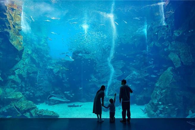 「北北基桃景點暢遊卡二日券」效期內憑卡享人氣景點「Xpark」、「小人國」 門票優惠。(六福旅遊集團提供)