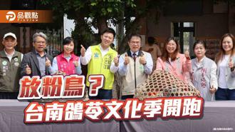 品觀點｜放粉鳥囉！台南鴿苓文化季開跑
