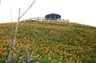 台東金針山土地行政區未定界 太麻里鄉舉辦公投