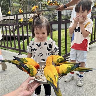 歡慶兒童節  清境農場九九峰動物樂園推優惠搶萌商機