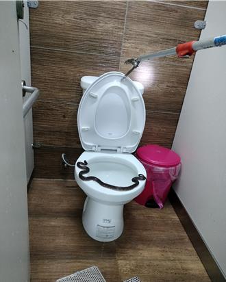 公廁驚見馬桶有蛇蠕動！ 民眾驚惶逃出便意全消