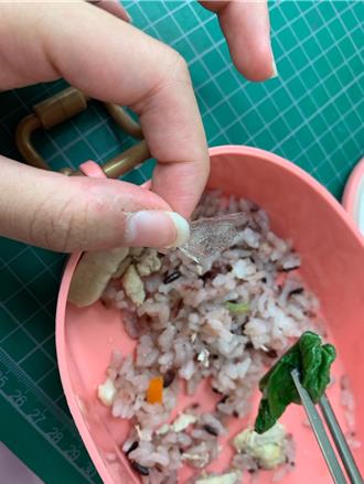 南澳偏鄉試辦中央廚房 午餐竟出現菜蟲、毛髮及塑膠片