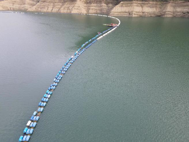 苗栗縣鯉魚潭水庫攔木索相當長，13日驚傳劉姓清廢工人作業疑似落水失蹤。（讀者提供／謝明俊苗栗傳真）